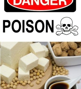 soy1-397x437