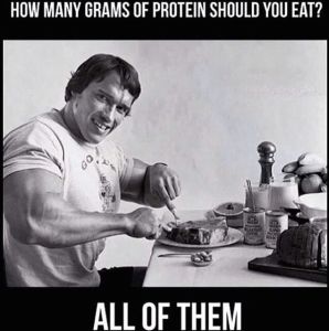 arnold protein